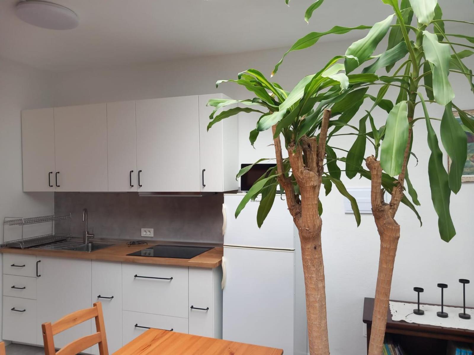 Vivienda Vacacional Casa Rosi 프론테라 외부 사진